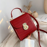 Crossbody Bag Fashion Handbag Small Square Bag