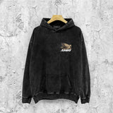 Amiri washed hoodie mottled pegasus distressed printing