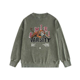 Amiri washed sweatshirt alphabet tiger print washed old