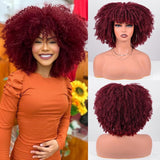 Women's Wigs Short Afro Curly Wig