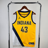 NBA Jerseys Season 23, Pacers, Flyers Limited No. 43, Hillcam