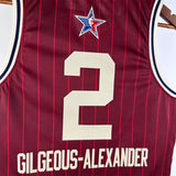 NBA Jerseys 24 season, All-Star, Red 2, Alexander