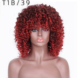 Women's Wigs Short Curly Afro Synthetic Wig