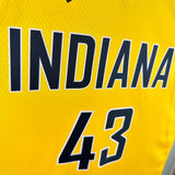 NBA Jerseys Season 23, Pacers, Flyers Limited No. 43, Hillcam