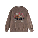 Amiri washed sweatshirt alphabet tiger print washed old