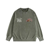 Amiri washed sweatshirt alphabet tiger print washed old