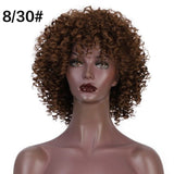 Women's Wigs Short Curly Afro Synthetic Wig