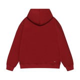 Amiri hoodie hollywood font printing