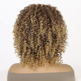Women's Wigs Short Curly Afro Synthetic Wig