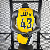 NBA Jerseys Season 23, Pacers, Flyers Limited No. 43, Hillcam