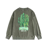 Amiri washed sweatshirt green leaf letterprinting washed and distressed