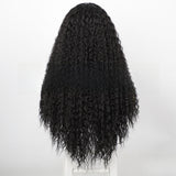 Women's Wigs Middle Part Long Curly Lace Front Wig