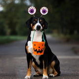 Halloween headband Pet Halloween Headband – Cute Pumpkin & Ghost Dog Accessory
