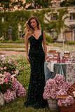 Women Party Dress Shine like a star in this stunning Women's Party Dress (Ss0416)