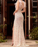 Women Party Dress Shine like a star in this stunning Women's Party Dress (SS0416)