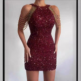 Women Party Dress Shine like a star in this stunning Women's Party Dress (SS0416)