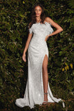 Women Party Dress Banquet Slit Feather Sequins Evening Dress (Ss0416)