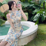 Women Dresses Exotic Cheongsam Dress Experience Different Styles