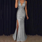 Women Party Dress Shine like a star in this stunning Women's Party Dress (SS0416)