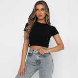 Women Tops Fashion Breathable Long Sleeves Top (ZJ0415)