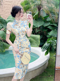 Women Dresses Exotic Cheongsam Dress Experience Different Styles