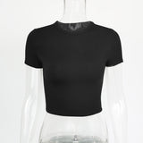Women Tops Fashion Breathable Long Sleeves Top (ZJ0415)