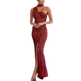 Women Party Dress Shine like a star in this stunning Women's Party Dress (SS0416)