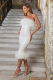 Women Party Dress Charming and Graceful Evening Dress for Women (SS0416)