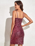 Women Party Dress Shine like a star in this stunning Women's Party Dress (SS0416)