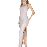 Women Dresses Elegant Fashion Social Banquet Dress (HWFS0410)