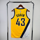 NBA Jerseys Season 23, Pacers, Flyers Limited No. 43, Hillcam