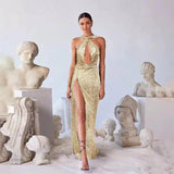 Women Party Dress Get ready to sparkle at your next event with this Women's Party Dress (SS0416)