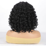 Women'S Wigs   Lace front Braided Wigs