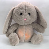 Plush Toys Glow Music Plush Toys Otter Koala Bear Doll Kapibara Breathing Bear Doll