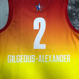 NBA Jerseys Season 23, All-Star, Yellow No. 2, Alexander