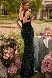 Women Party Dress Shine like a star in this stunning Women's Party Dress (Ss0416)
