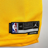 NBA Jerseys Season 23, Pacers, Flyers Limited No. 43, Hillcam