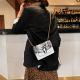 Snake Head Bag Women's Bag Chain Crossbody Bag All-Matching Fashion Shoulder Small Square Bag