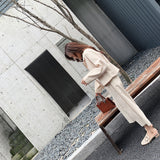 Women Pant Suit Uniform Designs Formal Style Office Lady Bussiness Attire Fashion Autumn and Winter Loose Wide Leg Pants Two-Piece Set
