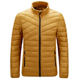 Doudoune Large Size Retro Sports Light Warm Casual Cotton-Padded Clothes Striped Cotton-Padded Coat Men's Coat