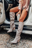 Coachella Festival Boots Winter Pointed Chunky Heel Long Boots High Boots