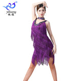 Flapper Dress Tassel Dress Latin Dance Skirt Sleeveless Sequined V-neck