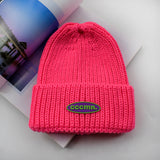 Women Beanies Hat Female Autumn and Winter Woolen Hat Preppy Style Letter Label Couple Warm Male