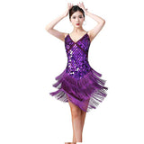 Flapper Dress Sequined Tassel Dance Skirt Suspender Dress