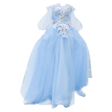 Fairytale Dresses Light Blue Long Sleeve Toast Dress Performance Wedding Dress Evening Dress