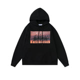 Autumn And Winter Sunset Flamingo Arrow Hooded Sweater For Men And Women