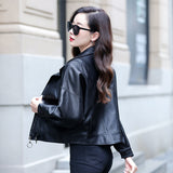 Hot Pink Motorcycle Jacket Short Biker's Leather Jacket Fall/Winter PU Leather Shirt